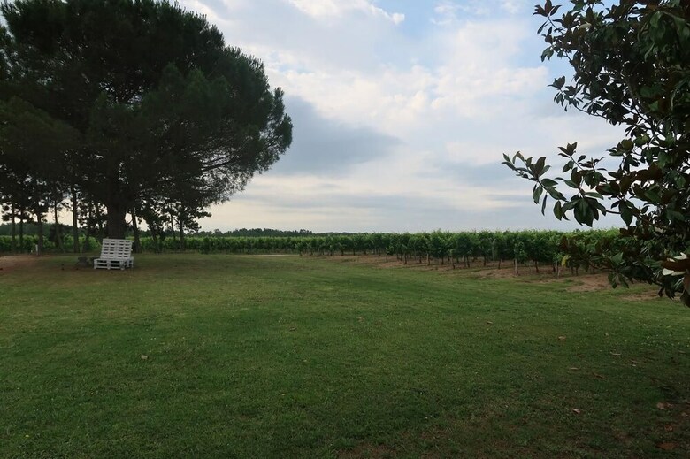Bed & Breakfast L'orangerie de La Pont�te - Chambres D?hotes