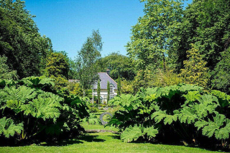 The Cors Country House