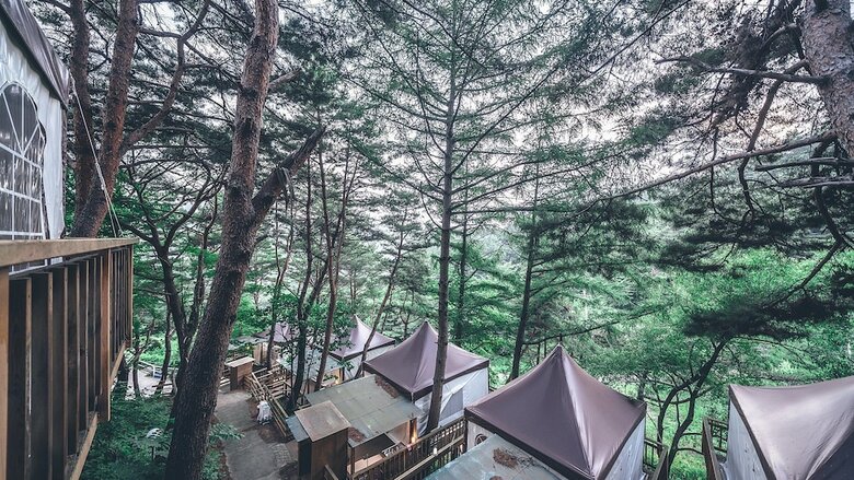 Couplestar In Forest Glamping