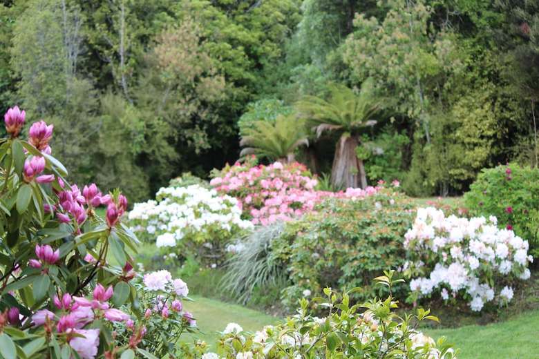 Bed & Breakfast Tui Hideaway