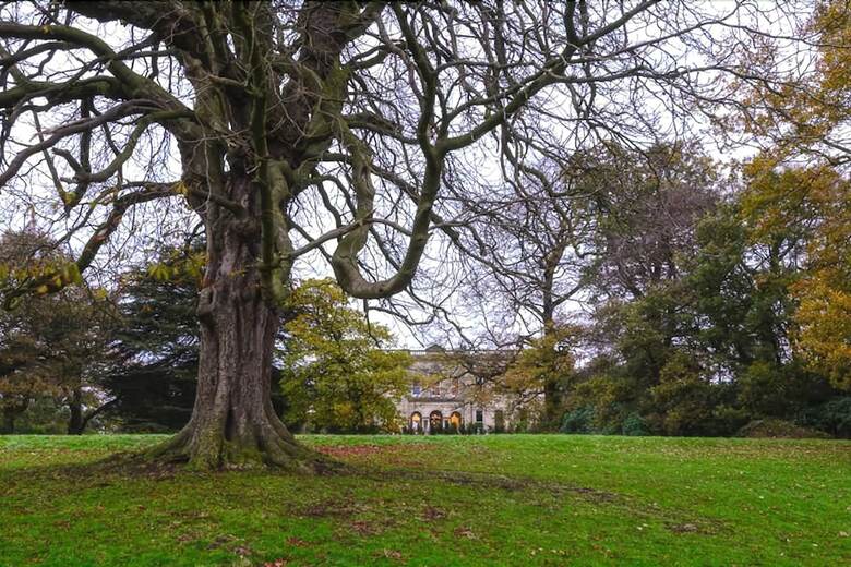 Hotel Alfreton Hall