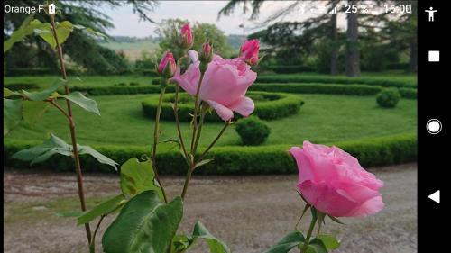 Bed & Breakfast Ch�teau De Clermont-sav�s