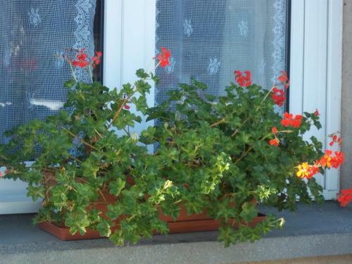 Bed & Breakfast Chambres D'h�tes Farcy