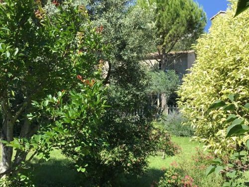 Bed & Breakfast La Cabane De P�p� Emilien