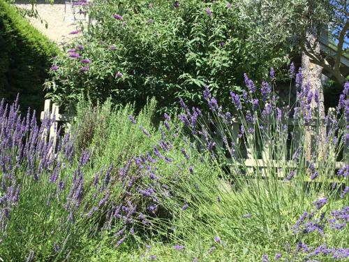 Bed & Breakfast La Cabane De P�p� Emilien