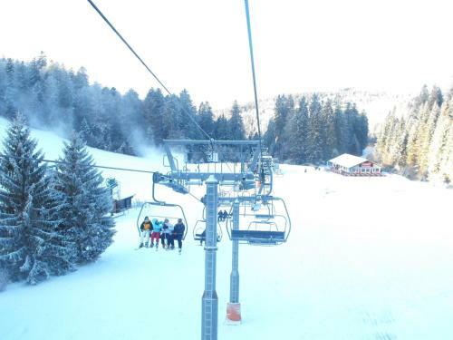 Holiday Home Les Chalets Du Neune Gerbepal