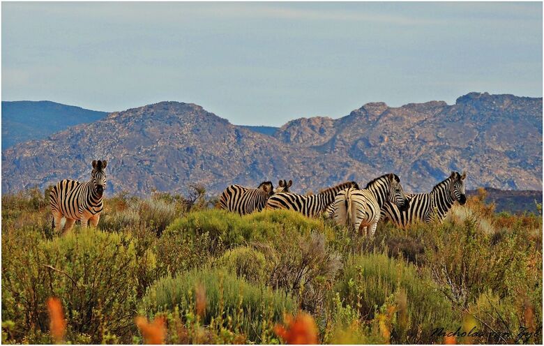 Posada Kagga Kamma Nature Reserve