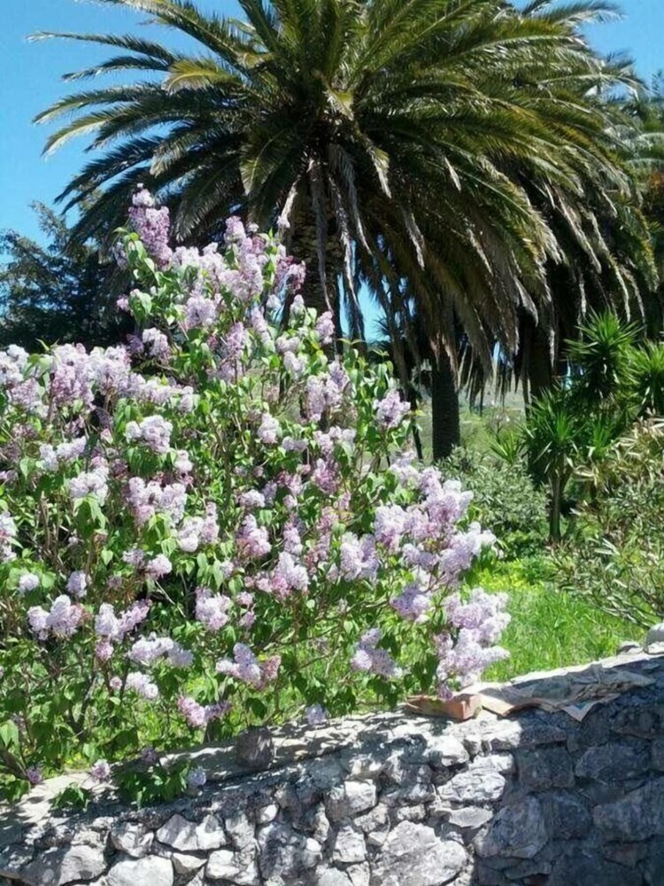 Agroturismo L'antico Casale