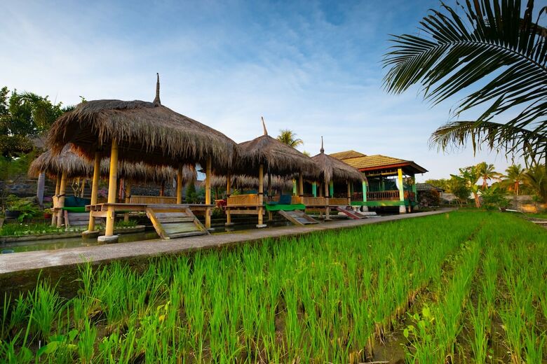 Hotel Oyo 1320 Green Orry Inn