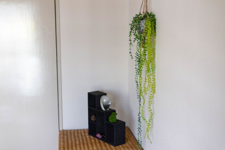 Apartamentos Comfort Self Hotel Amanto