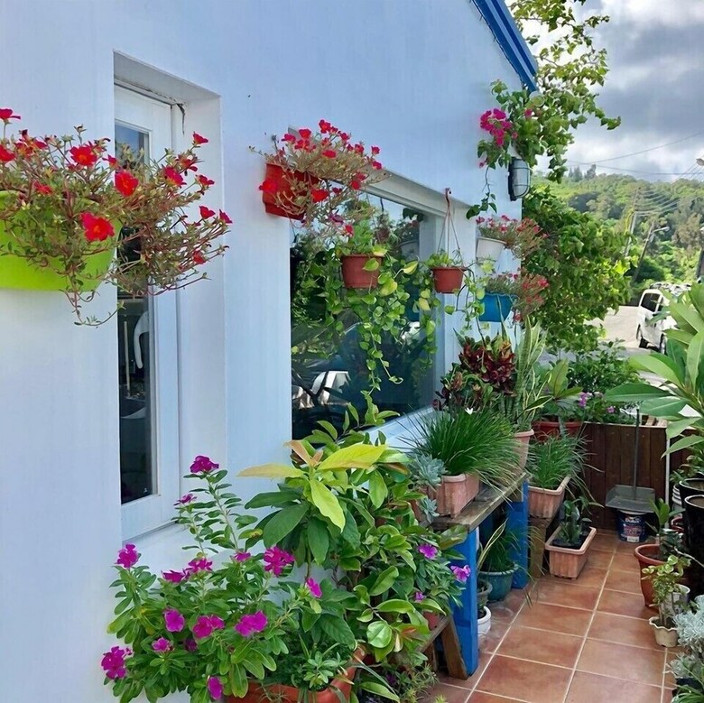 Bed & Breakfast South Home