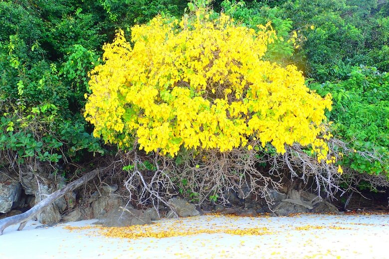 Apartamento Victoria Cliff Nyaung Oo Phee Island