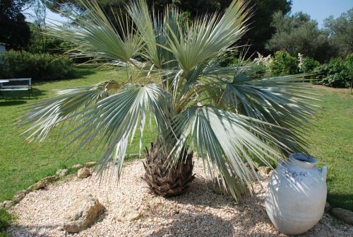 Bed & Breakfast Domaine A L'aise