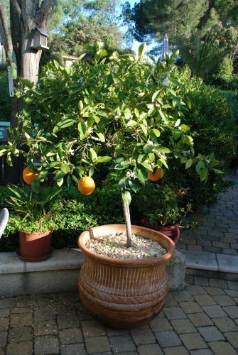 Bed & Breakfast Domaine A L'aise