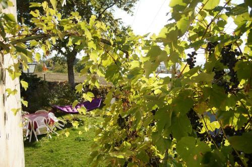 Bed & Breakfast Le Grand No�