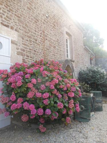 Bed & Breakfast Le Jardin � Mordreuc