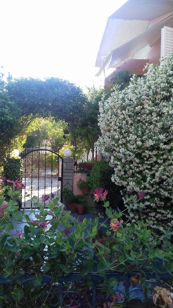 Hostal The Jasmine House