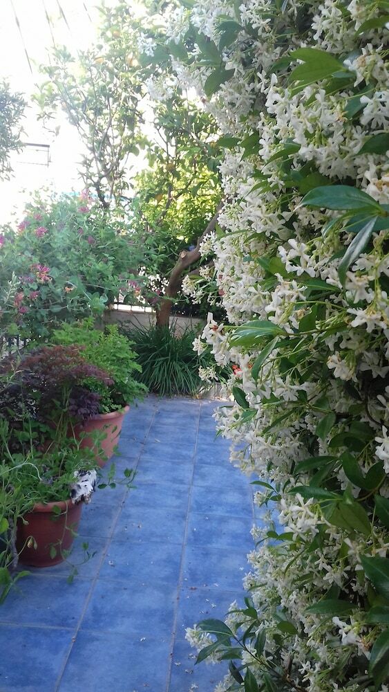 Hostal The Jasmine House