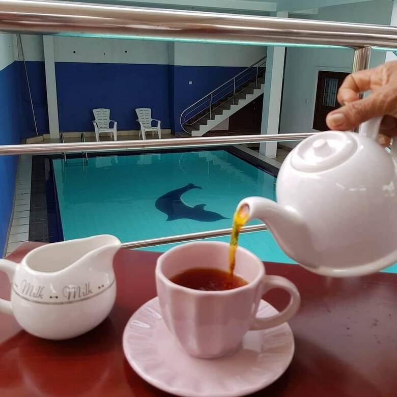 Hotel Ayansa Villa