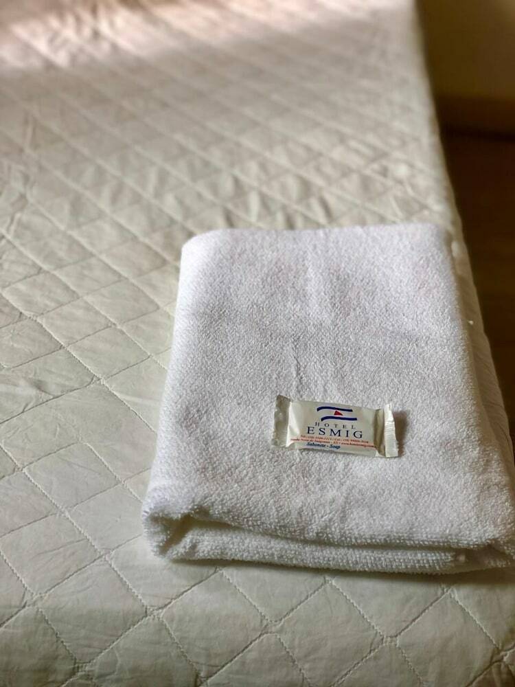 Hotel Esmig