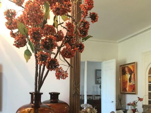 Bed & Breakfast Le 14 St Michel