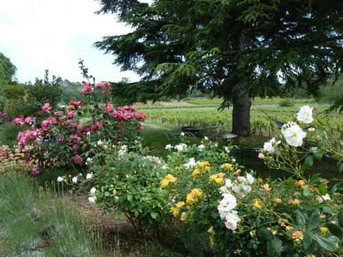 Bed & Breakfast Les Vignes De Terrisse