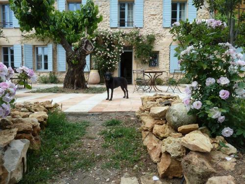 Bed & Breakfast Les Vignes De Terrisse