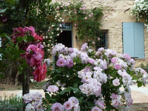 Bed & Breakfast Les Vignes De Terrisse