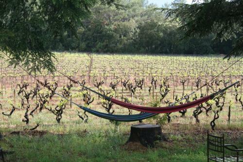Bed & Breakfast Les Vignes De Terrisse