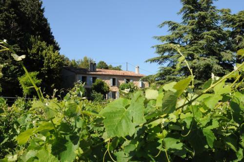 Bed & Breakfast Les Vignes De Terrisse