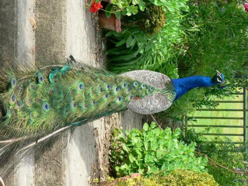 Bed & Breakfast Chambre D'h�tes La Grand' Maison