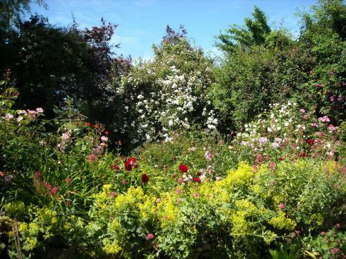 Bed & Breakfast Chambre D'h�tes La Grand' Maison