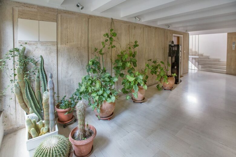 Apartamentos Charming Aptm Few Steps From Acropolis By Ghh