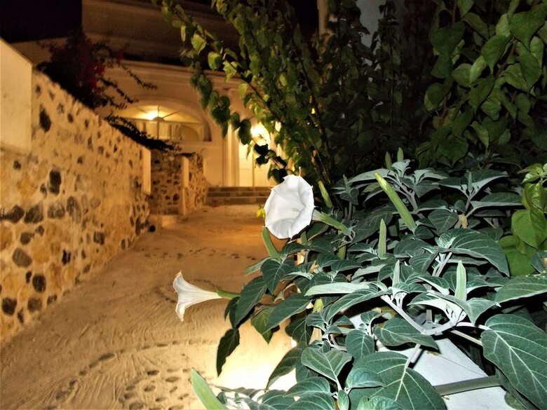 Hotel Loukas Kontos Traditional House