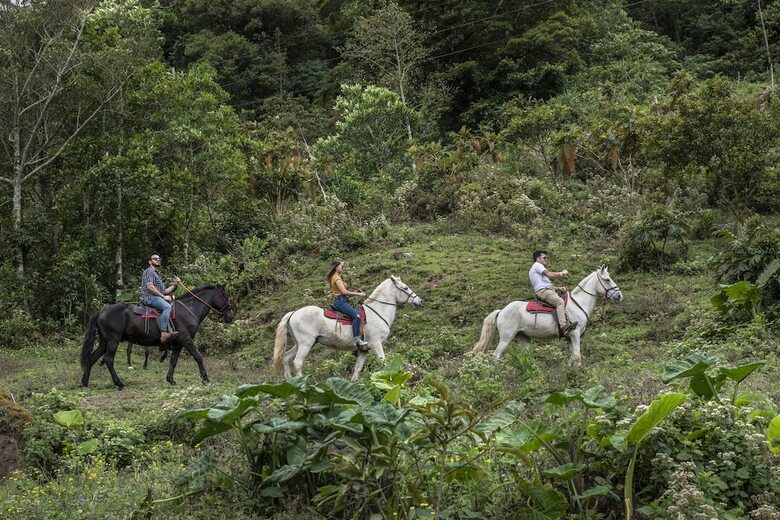 Hotel El Silencio Lodge And Spa