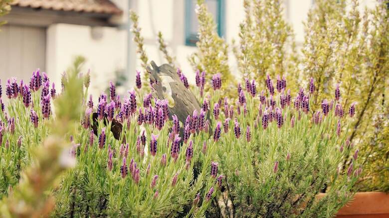 Pension G�stezimmer Im Alten Weingut