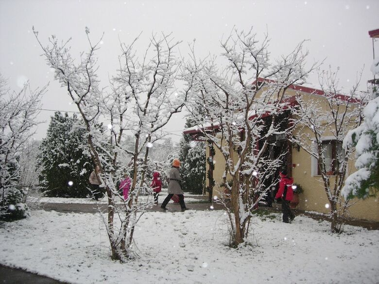 Hotel Villa Anthemia