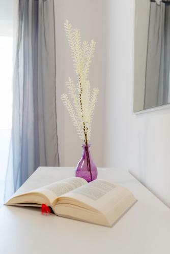 Lct Oleander Apartments