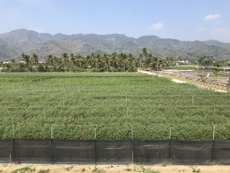 Hotel Meinung On The Field Homestay