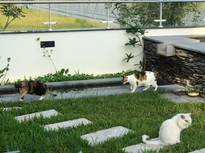 Hotel Meinung On The Field Homestay