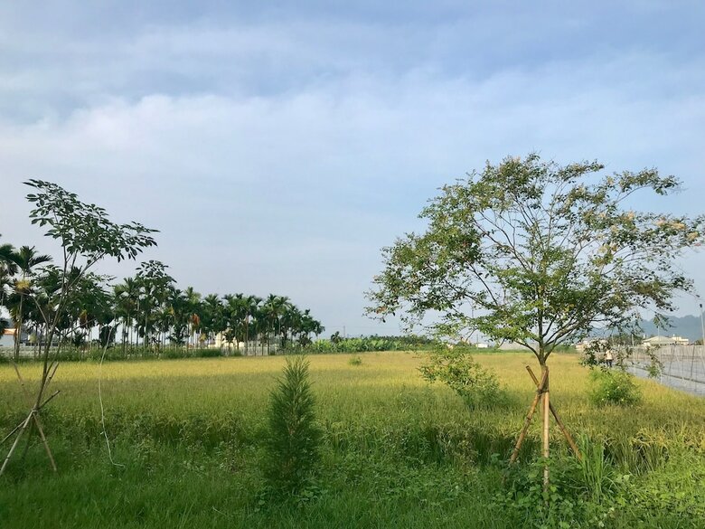 Hotel Meinung On The Field Homestay