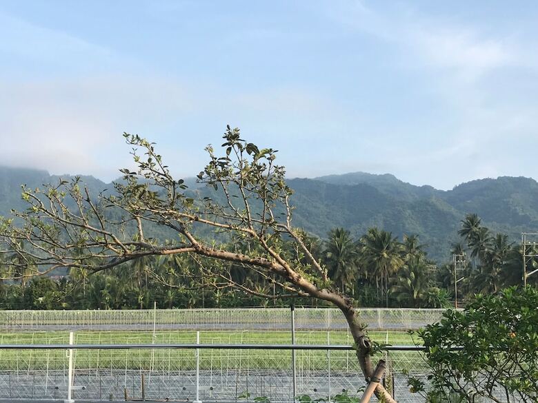 Hotel Meinung On The Field Homestay