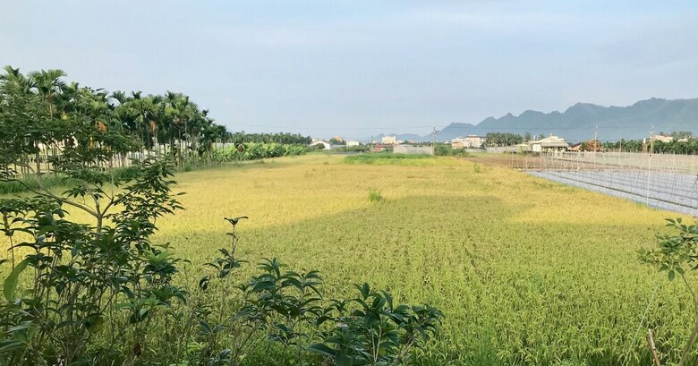 Hotel Meinung On The Field Homestay