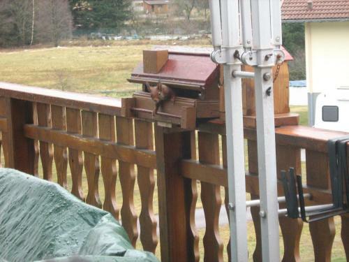Hostal Chalet G�rardmer Situ� A Le Tholy