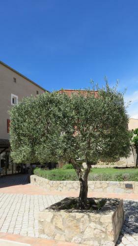 Hotel Auberge Des Salles