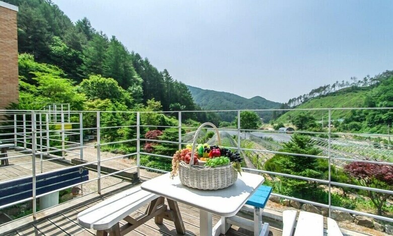 Sunny Junny Pension