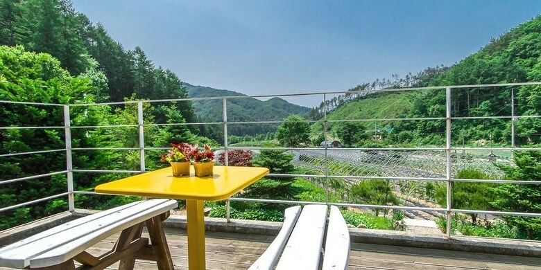 Sunny Junny Pension