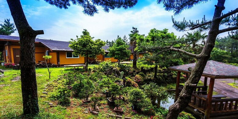 Log Village Pension Jeju