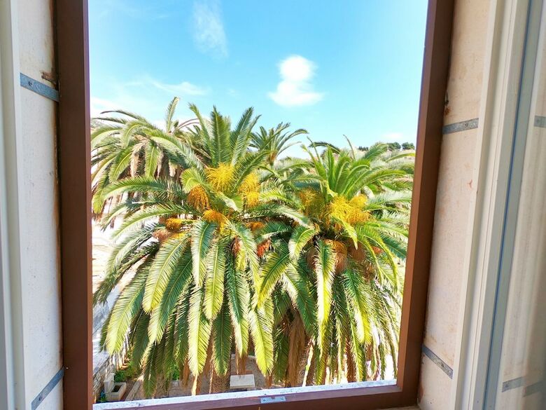Novak Bonaparte Apartment