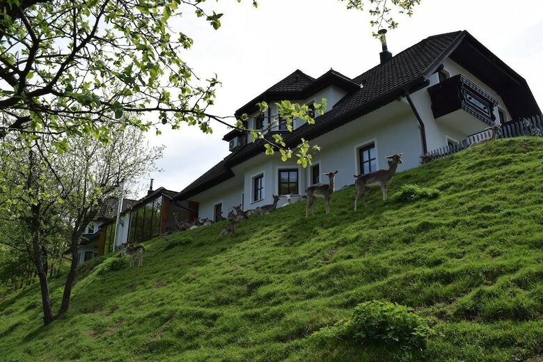 Hotel Guesthouse Jelenov Greben